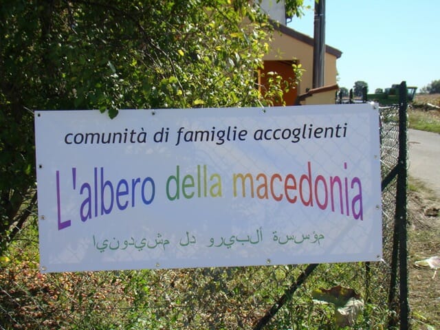 albero della macedonia